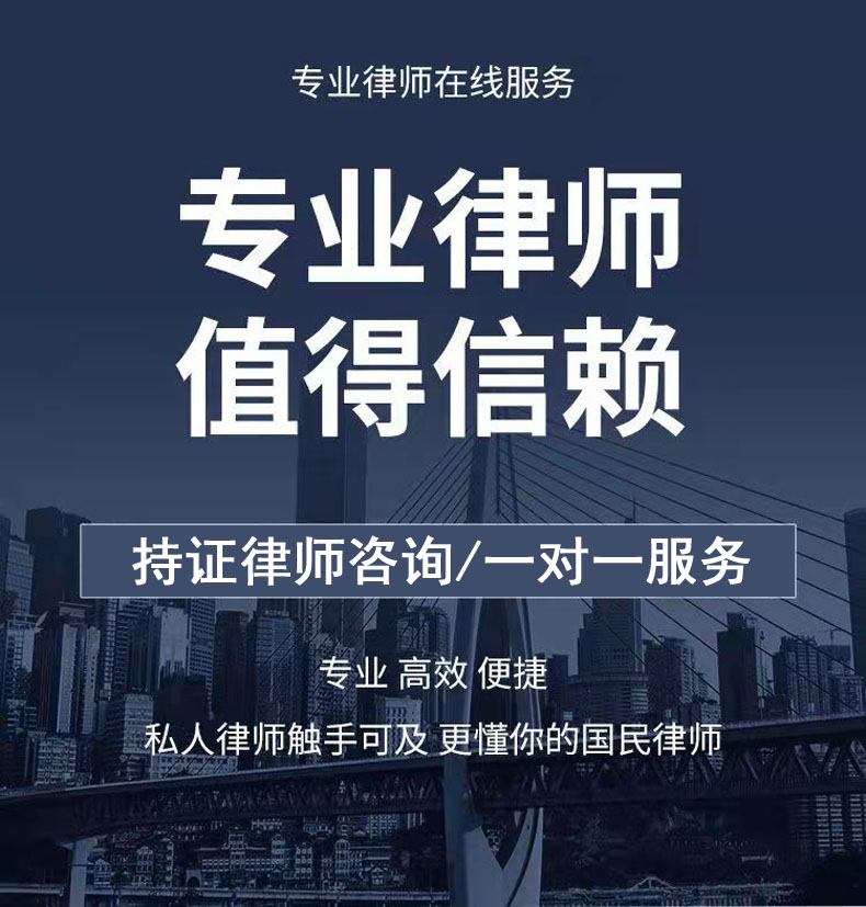 网贷贷款法务咨询法律律师咨询经济纠纷拖欠老赖借欠钱不还起诉状 - 图0