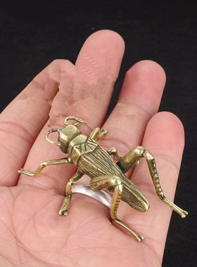 实心纯铜蝴蝶蜻蜓小摆件昆虫蟋蟀螳螂茶宠毛毛虫童趣个性工艺品