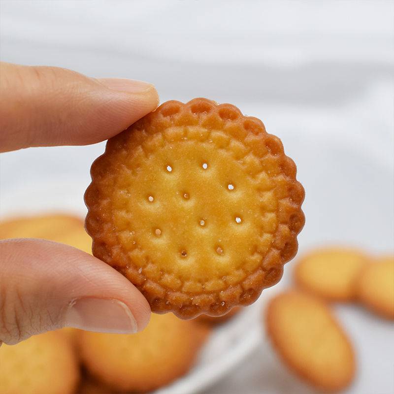 雪可滋日式小圆饼海盐味牛乳饼干308g/罐 薄脆北海道风味儿童零食 - 图0
