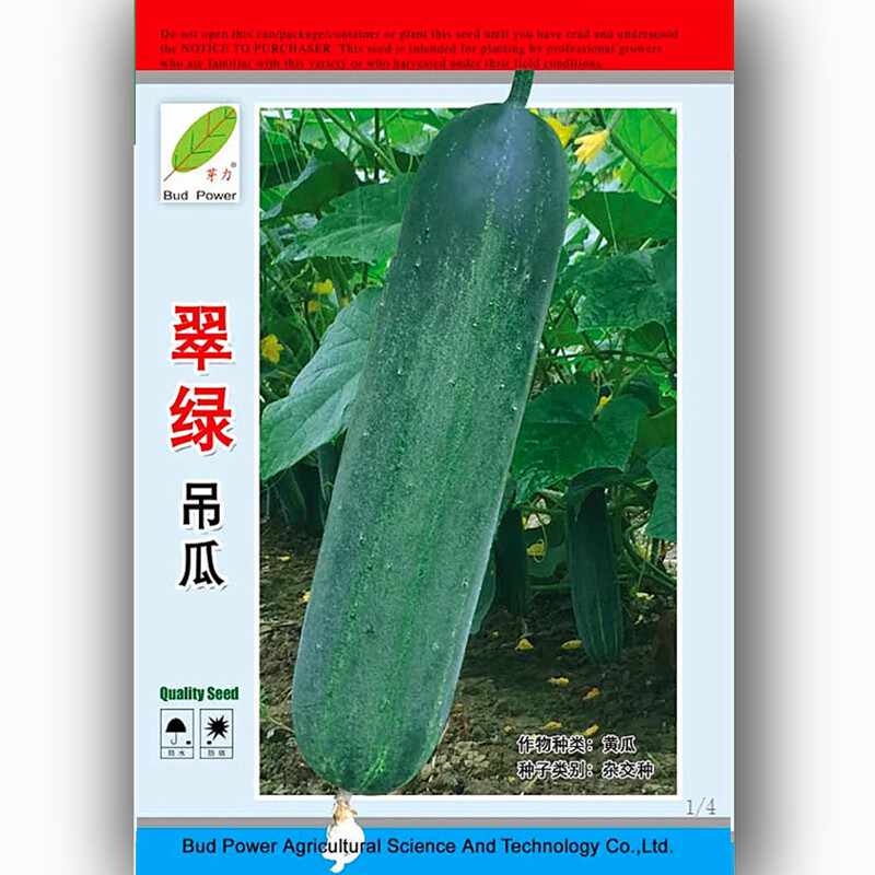 肉肉的种子 新人首单立减十元 21年8月 淘宝海外