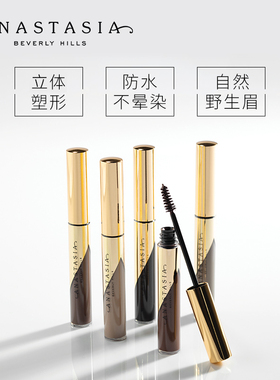 anastasia美国持久防水多色眉胶
