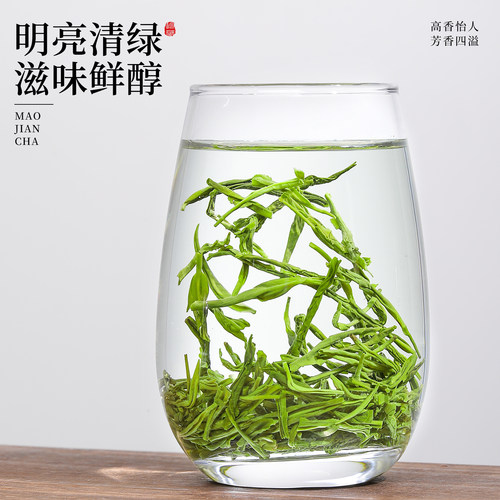 毛尖绿茶2026新茶叶正宗明前一级绿茶浓香型春茶口粮散装茶叶500g - 图3