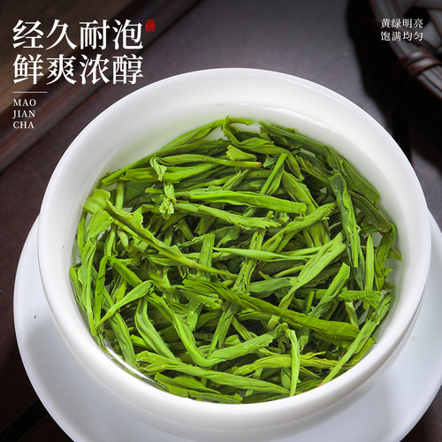 毛尖绿茶2026新茶叶正宗明前一级绿茶浓香型春茶口粮散装茶叶500g - 图2