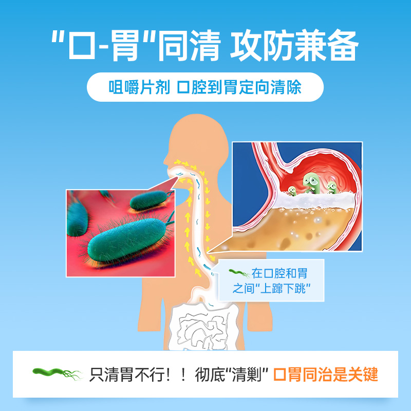 OST乐力益生菌养胃粉罗伊氏乳杆菌大人儿童肠胃片进口护胃保健品 - 图2