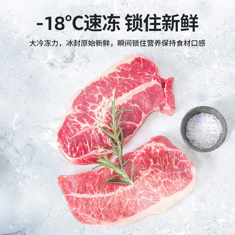 新飞家用双门小型出租房节能小冰箱 frestec新飞名创厨房冰箱