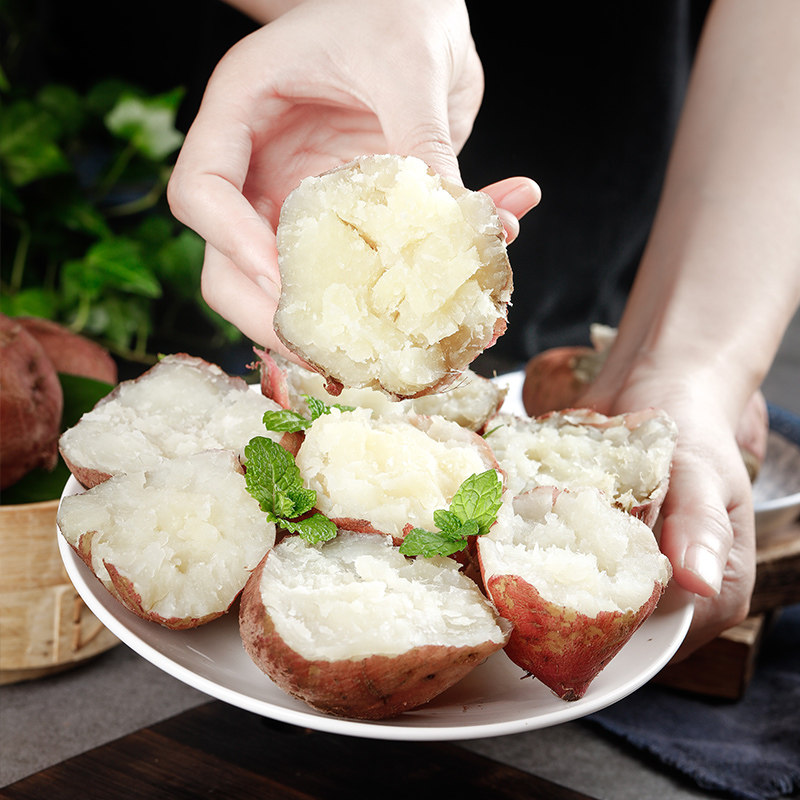 白心薯新鲜红薯香白瓤红皮白心板栗 典邑鲜番薯