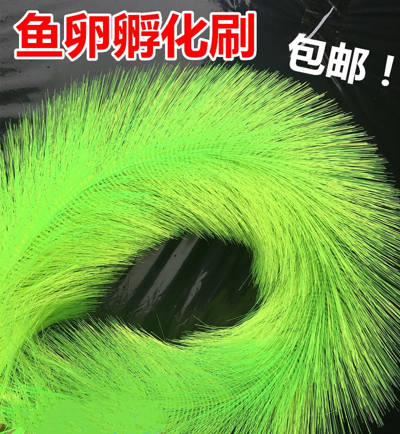 金鱼用品用具推荐品牌 新人首单立减十元 21年6月 淘宝海外 金鱼用品用具推荐品牌 新人首单立减十元 21年6月 淘宝海外