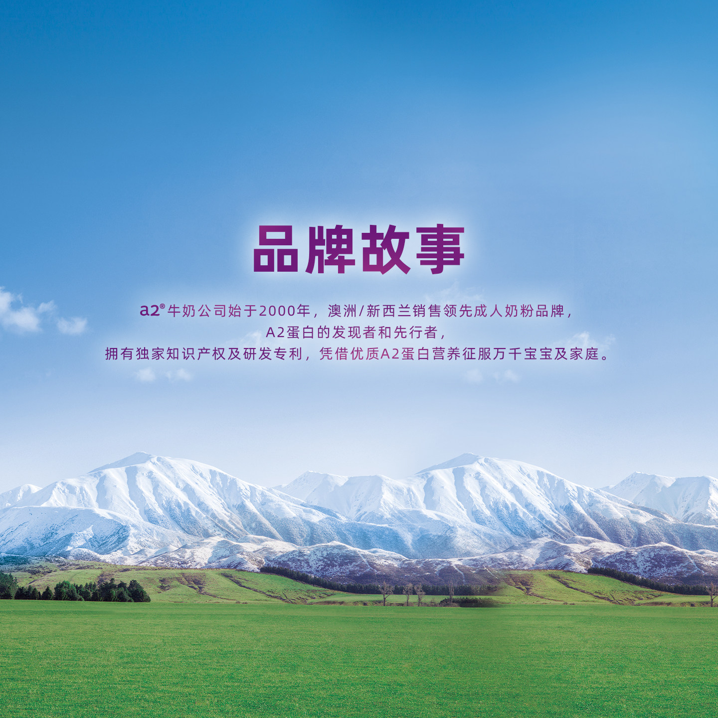 【自营】a2益生菌乳铁蛋白中老年奶粉A2蛋白鱼油富硒紫吨吨奶粉