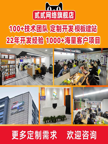 公司展示类型网站网站定制搭建模板建站企业网站建站官网制作 - 图0