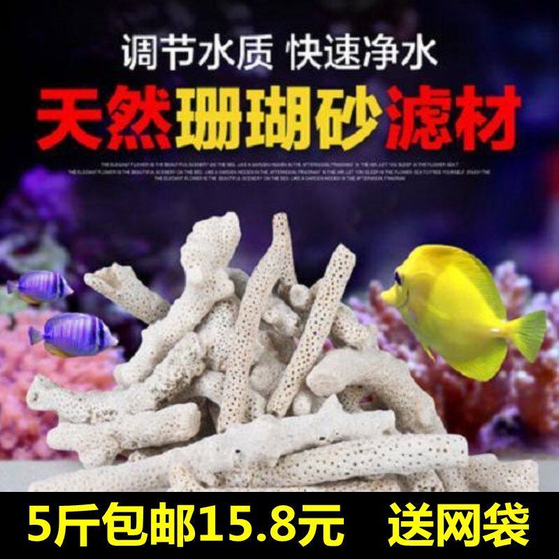 碱性珊瑚石 新人首单立减十元 21年9月 淘宝海外