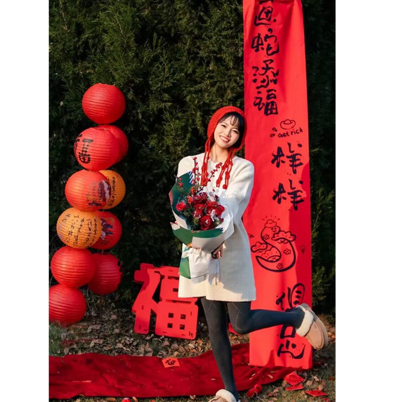 2025喜乐蛇年新年拍照道具外景拍摄挂布条幅背景过年主题装饰ins