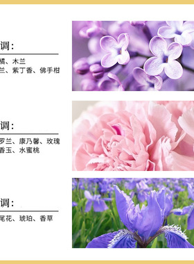 美国第五大道香水女士持久留香味
