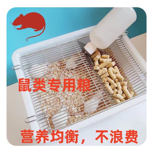 大小白鼠鼠粮花枝鼠粮小鼠爱吃高蛋白大颗粒繁殖粮仓鼠金丝熊 - 图1