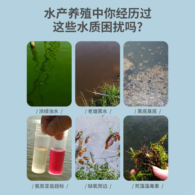 高铁酸钾底改水产养殖杀菌消毒除臭调水净水鱼虾蟹塘生物改底颗粒-图2