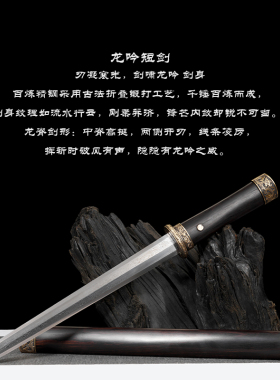 龙泉短刀剑户外刀短款防身冷兵器