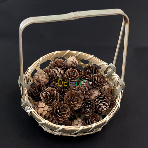 开口笑水杨子DIY花材 落叶松五眼果露露通足球果 教师节手工干花 - 图1