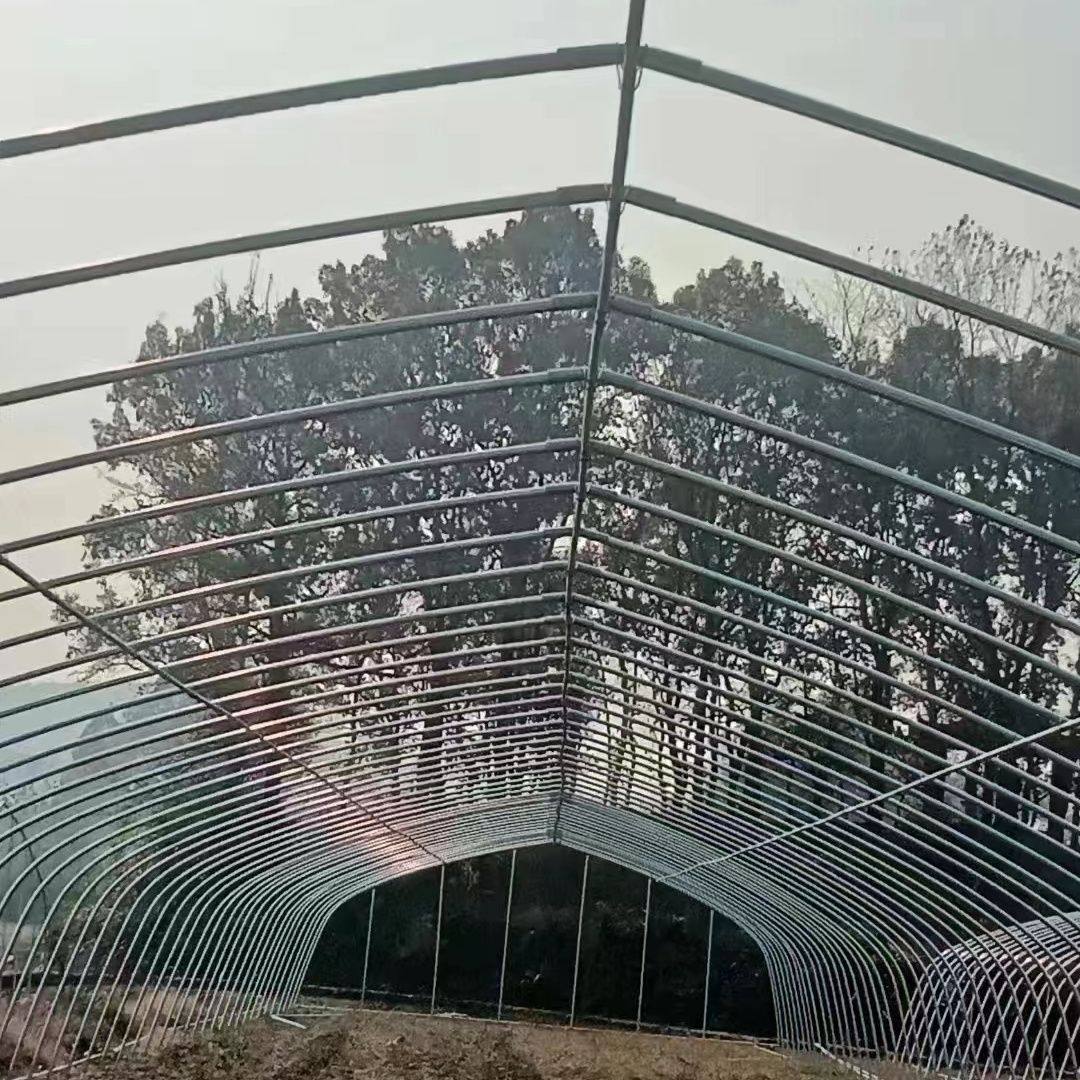 大棚骨架种植蔬菜养殖温室定制冷棚暖棚连体棚镀锌圆管椭圆管钢架,淘宝优惠券,粉丝福利购,淘宝优惠卷