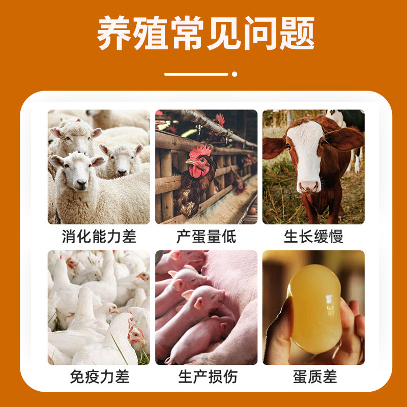 兽用鱼肝油粉蛋鸡鸭鹅禽用维生素AD电解多维补钙猪牛羊用预混饲料,淘宝优惠券,粉丝福利购,淘宝优惠卷
