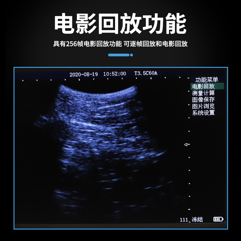 猪博士兽用B超机羊牛用b超母猪测孕仪宠物比超机超声波彩超检孕,淘宝优惠券,粉丝福利购,淘宝优惠卷