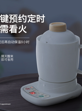 办公室多功能养生壶电热杯加热