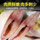 Deep sea golden pomfret 4 pack aquatic product frozen SF