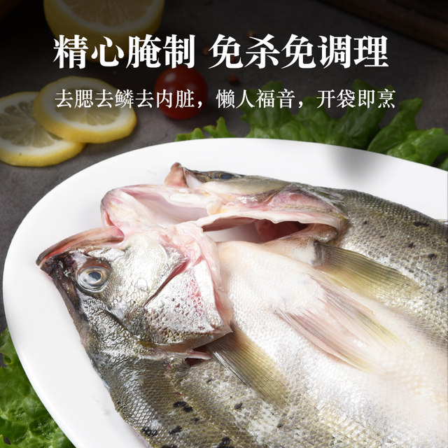 Fresh open back sea bass, live fish freshly killed