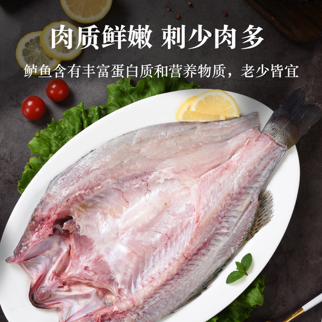 Fresh open back sea bass, live fish freshly killed