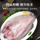 Fresh open back sea bass, live fish freshly killed