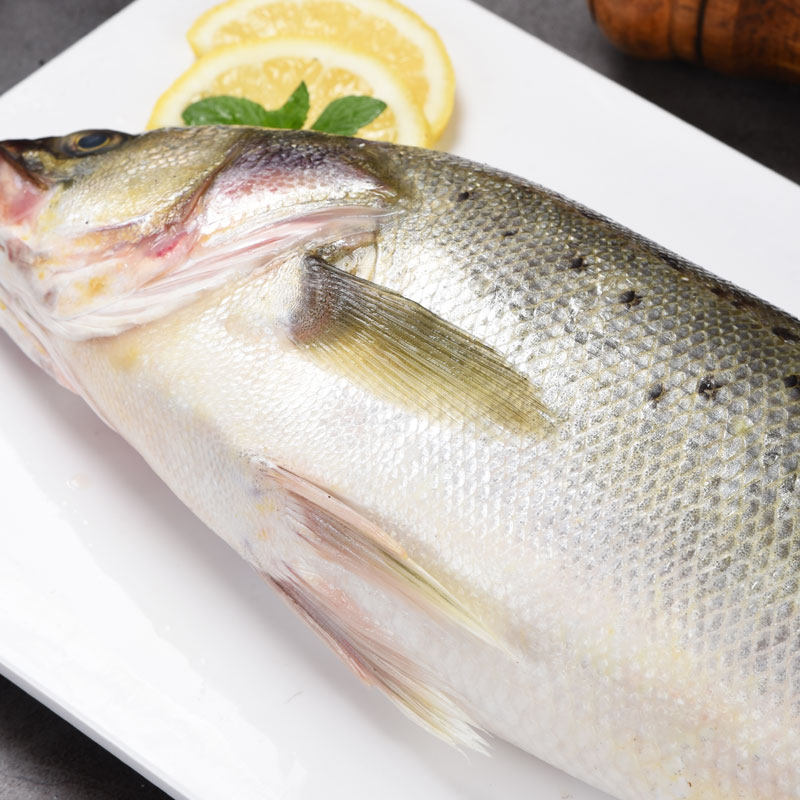 海鲈鱼新鲜冷冻海鱼鲜活深海鱼七星鱼海鲜水产海产品冰鱼卢鱼批发,淘宝优惠券,粉丝福利购,淘宝优惠卷