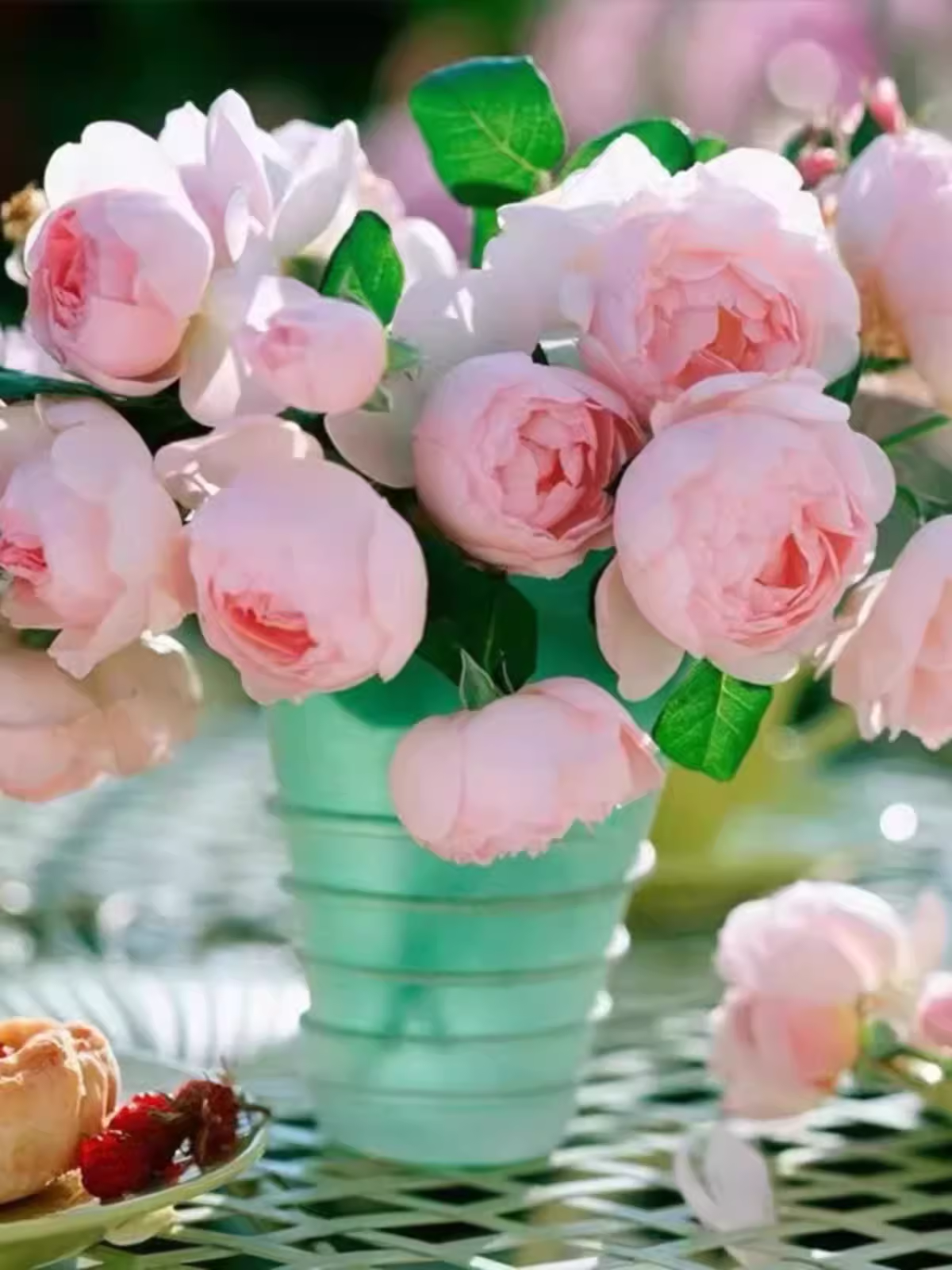 娜荷马/娜希马浓香耐热ADR认证 法国藤本月季  抗病强长势旺,淘宝优惠券,粉丝福利购,淘宝优惠卷