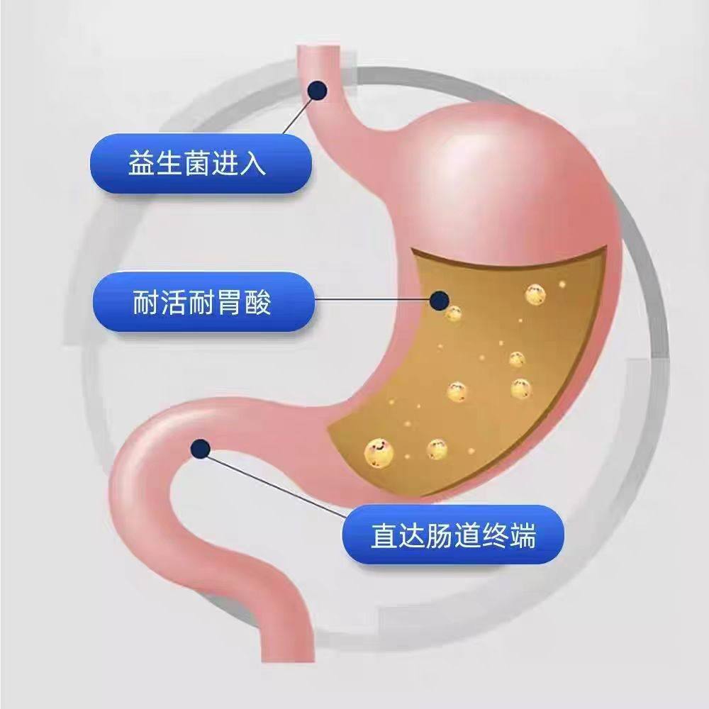 King魔方宠物益生菌猫犬通用营养补充剂猫益生菌狗益生菌保健品,淘宝优惠券,粉丝福利购,淘宝优惠卷