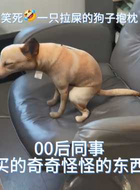 拉屎狗狗毛绒萌趣狗子嗯嗯造型抱枕可爱家居摆件玩偶挂件