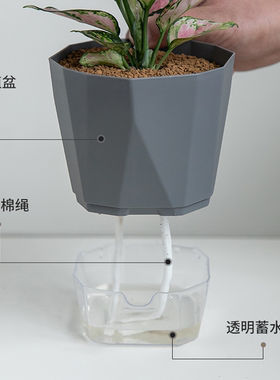 塑料透明懒人自动吸水花盆