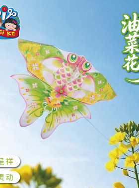 户外春天踏青油菜花金鱼风筝手工