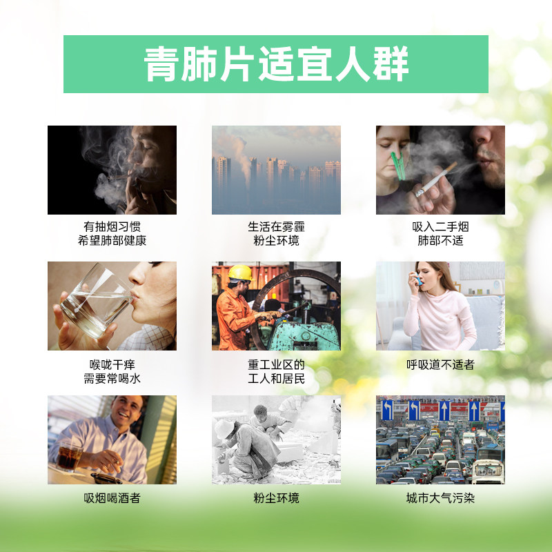 北维克复合槲皮素维生素清肺片养肺 NordiVik海外其它植物提取物