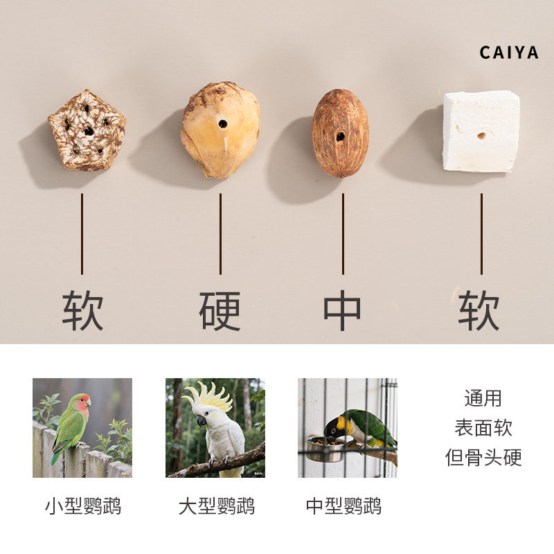 鹦鹉玩具啃咬挂串训练磨牙解闷自嗨牡丹玄风专用天然干果小鸟玩具,淘宝优惠券,粉丝福利购,淘宝优惠卷
