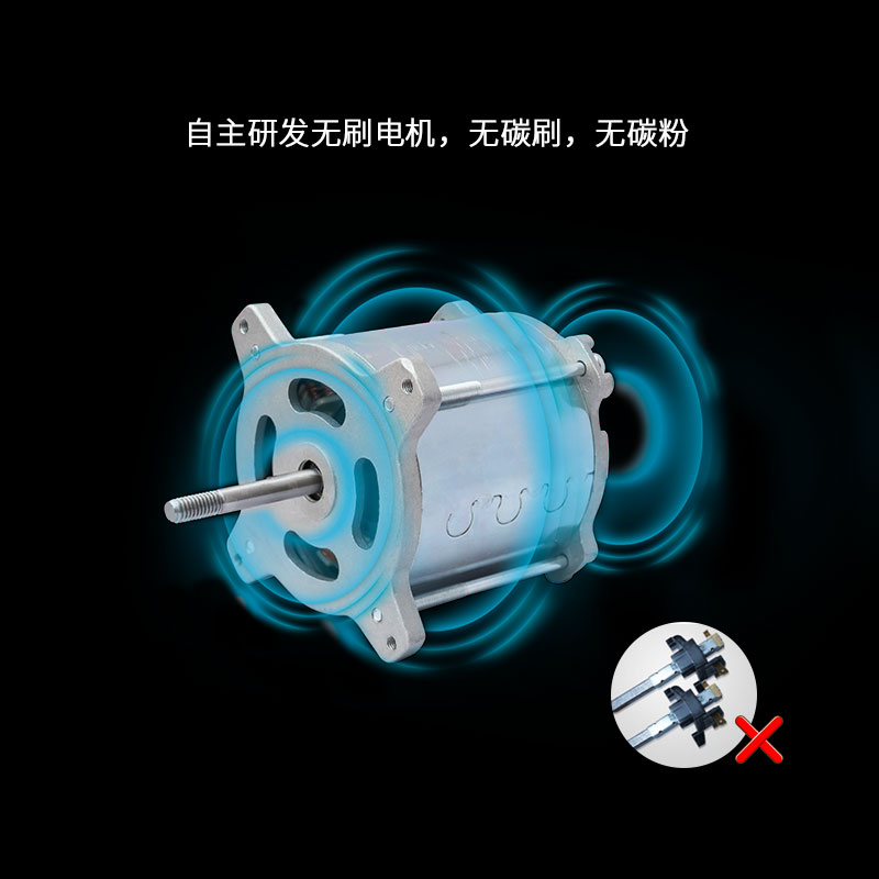 XPOWER宠物加热吹水机家用负离子拉毛机猫狗通用吹风烘干吹毛神器 - 图2