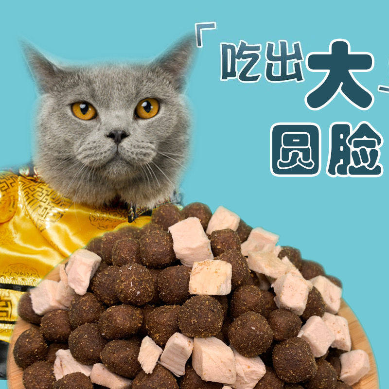 猫肉球推荐品牌 新人首单立减十元 21年6月 淘宝海外