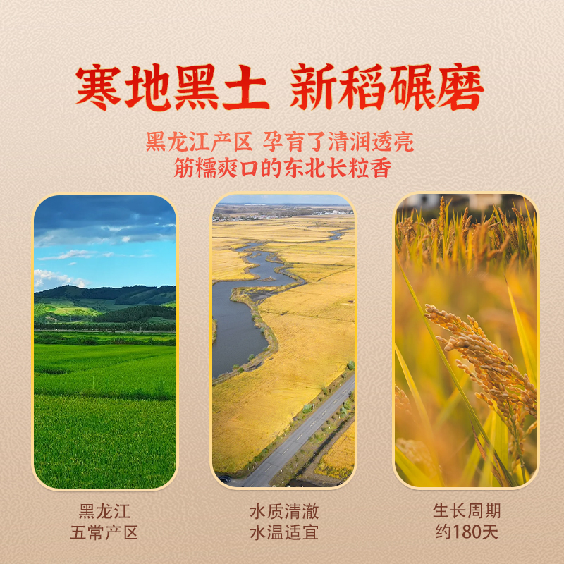 【小糖人专用米】谷米集 β-葡聚糖大米礼盒装1kg*5