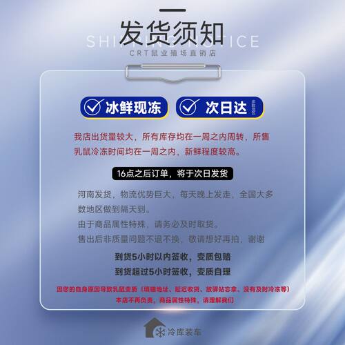 红皮乳鼠冰冷冻小老鼠蛇饲料独立包装幼喂猫龟爬宠粉霜跳亚成新鲜 - 图1