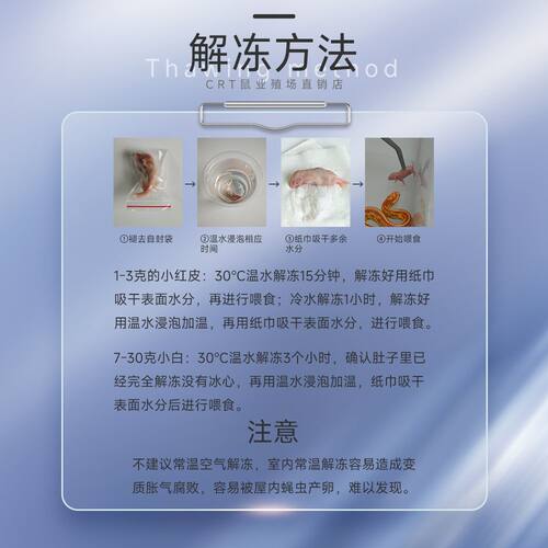 红皮乳鼠冰冷冻小老鼠蛇饲料独立包装幼喂猫龟爬宠粉霜跳亚成新鲜 - 图3