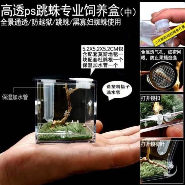 螳生态箱专用昆虫生态态生盒鸣虫螂盒饲养盒饲养跳盒鸣蛛虫WXT862-图3