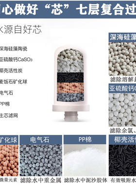 通用净恩安之星好一生陶瓷滤芯