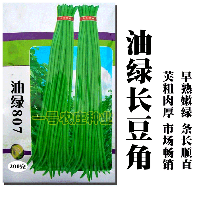 豆角种籽大全子种子四季豆种孑豇豆高产无架长蔬菜籽种菜蔬菜种子,淘宝优惠券,粉丝福利购,淘宝优惠卷