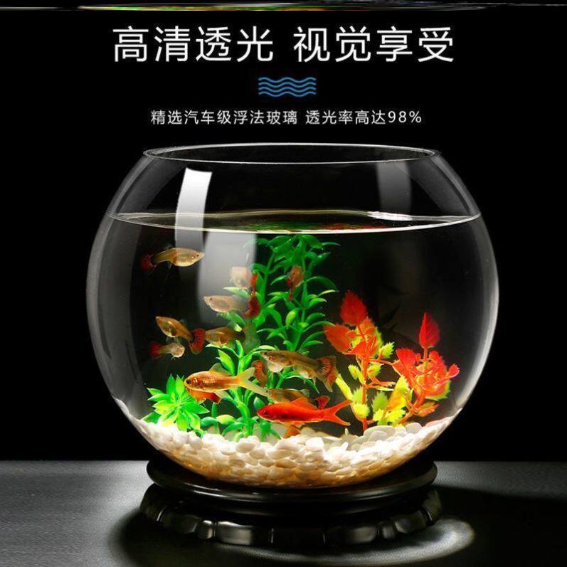 孔雀鱼鱼缸玻璃推荐品牌 新人首单立减十元 21年6月 淘宝海外