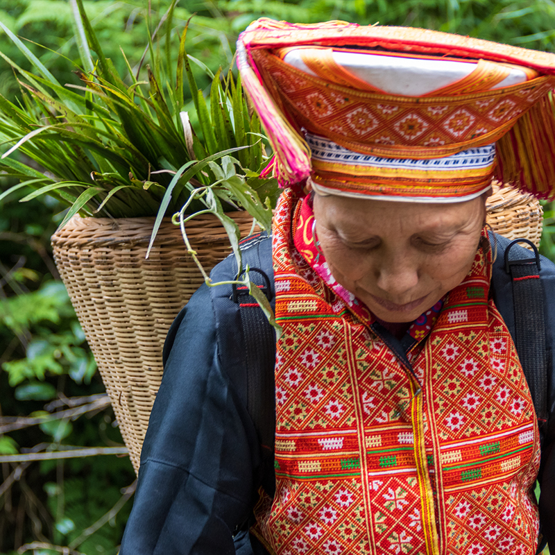 真正瑶族瑶浴泡澡药包药浴包广西金秀大瑶山瑶山婆中草药沐浴包-图2