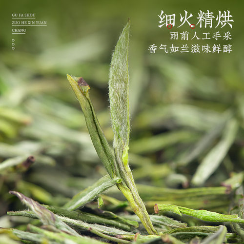 绿大师 明前特级三等黄山毛峰2025新茶叶安徽高山绿茶春茶共150g - 图3