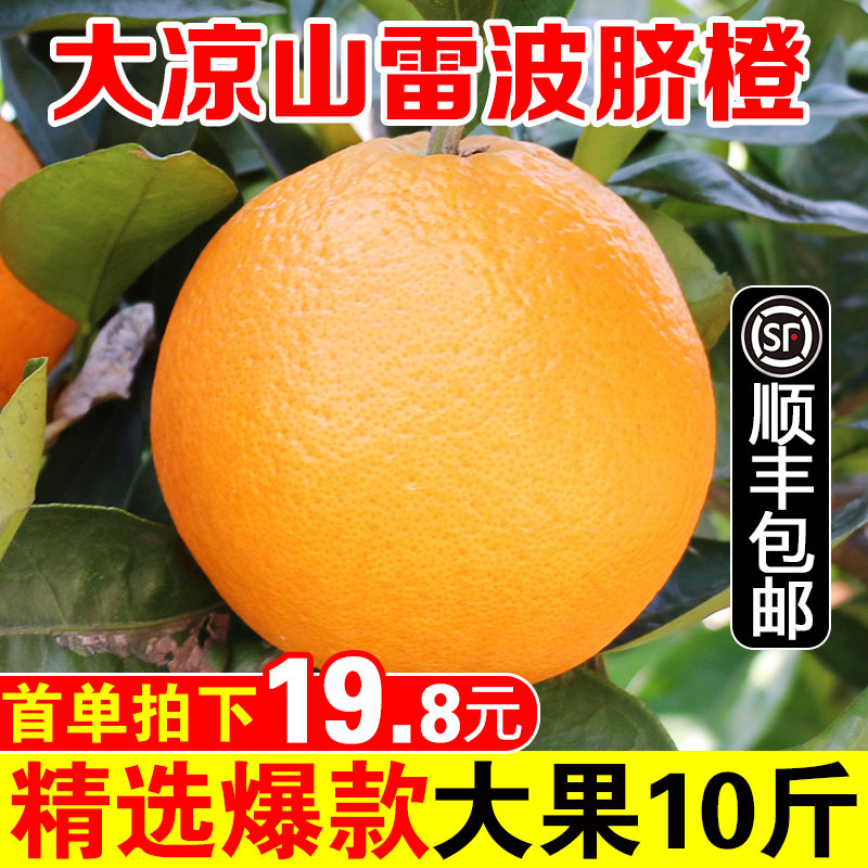 四川大凉山雷波脐橙橙子新鲜10斤当季水果冰糖甜橙果冻橙顺丰包邮