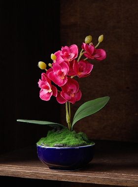 仙人掌仿真花艺小盆栽