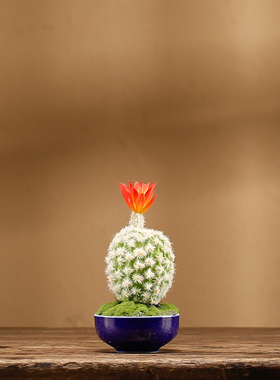 仿真花艺野百合小盆栽样板